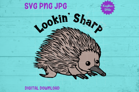 A Detailed Review of Lookin Sharp Echidna Graphics for T-Shirt Designs